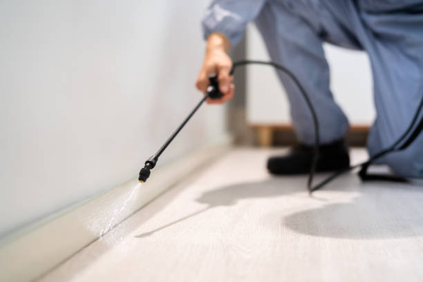 Licensed Pest Control service in Freeport, TX - Show Me Pest Control