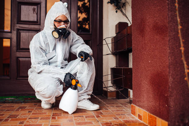 Reliable Ant Control contractor in Freeport, TX by Show Me Pest Control